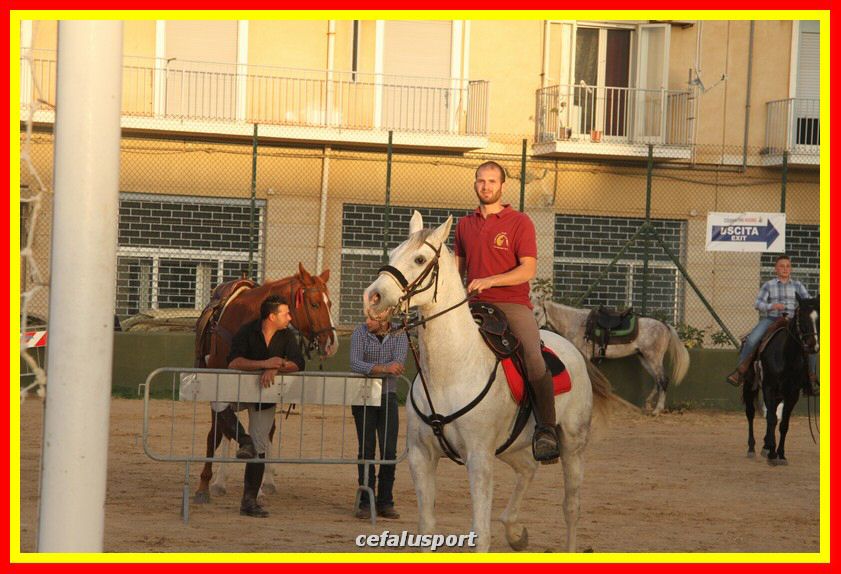 161106 equestre 005_tn.jpg